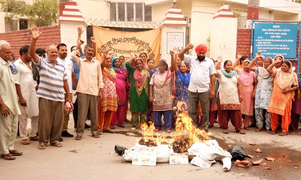PunjabKesari
