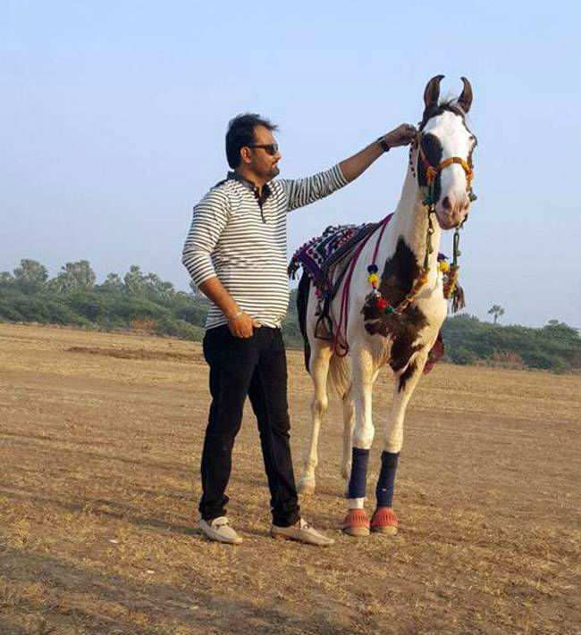 Punjabi Bollywood Tadka