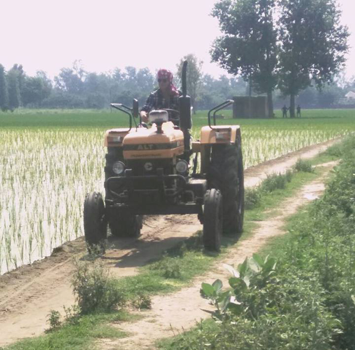 Punjabi Bollywood Tadka