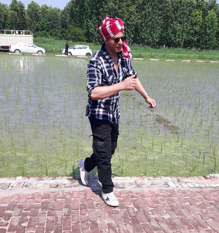 Punjabi Bollywood Tadka