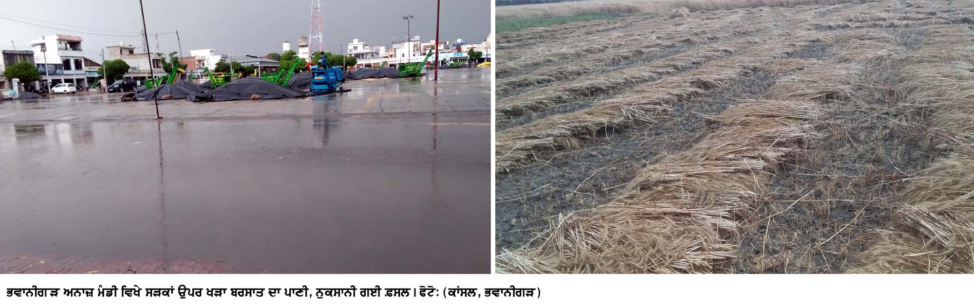 sangrur
