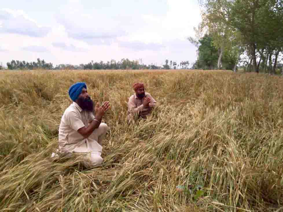 sangrur