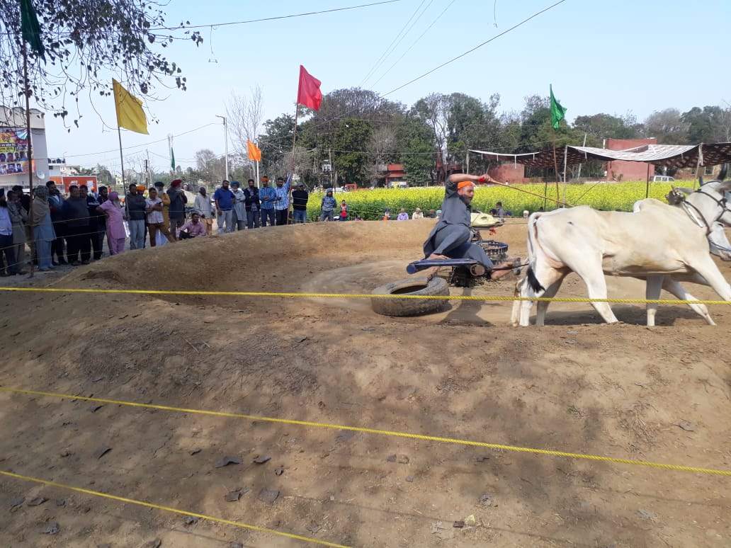 jalandhar