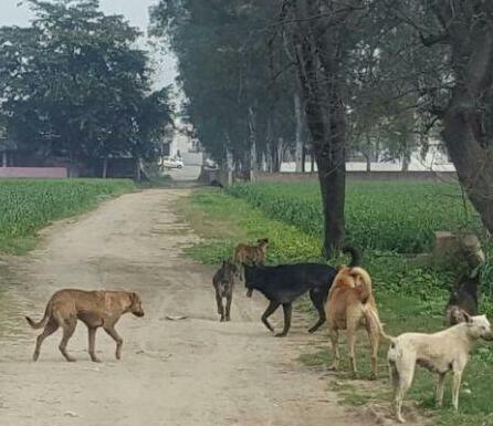 kapurthala