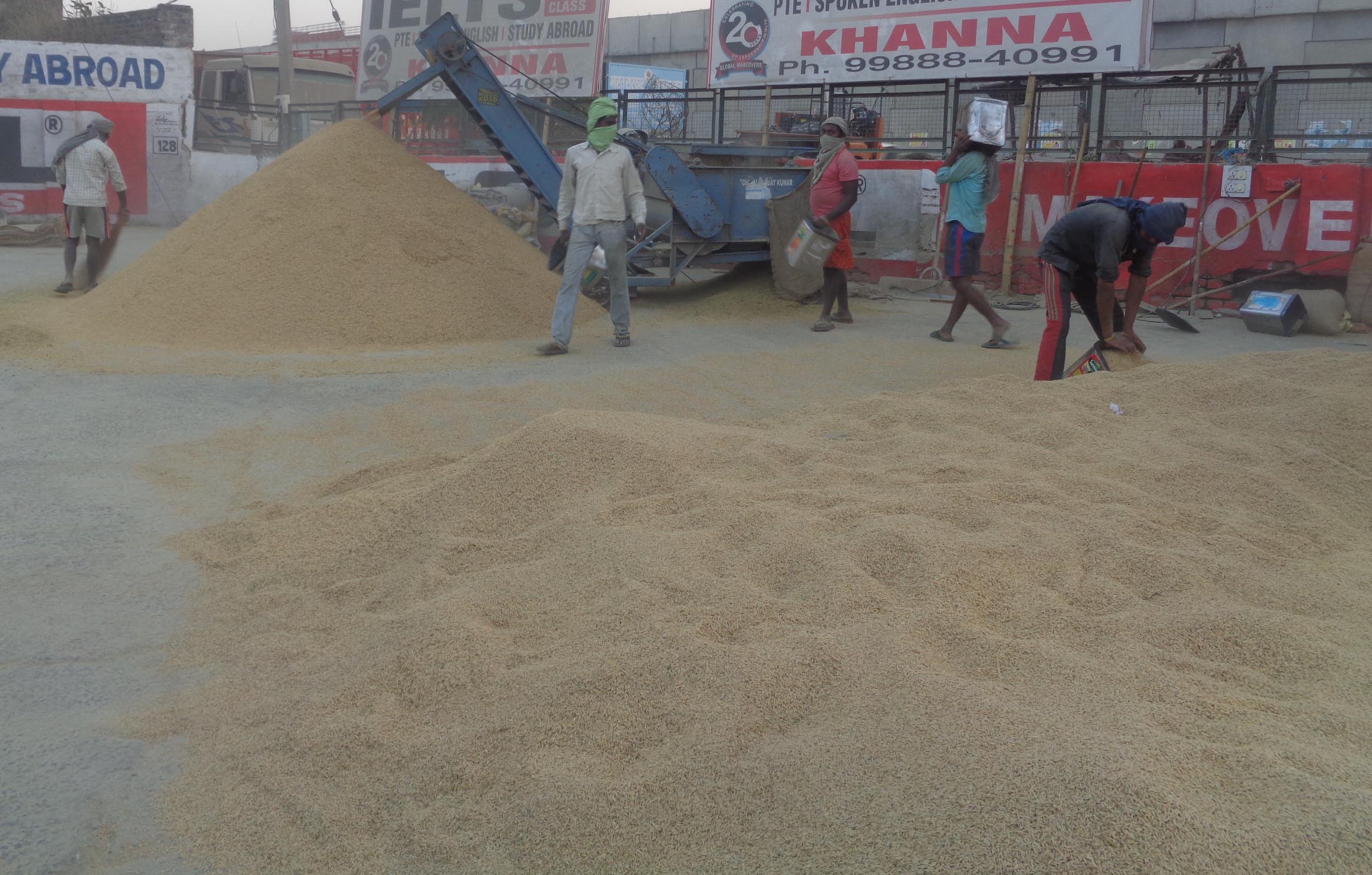 grain market khanna