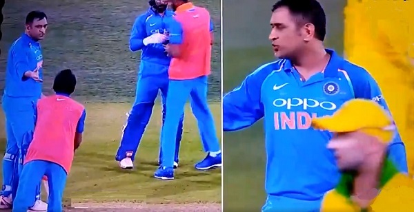 ms dhoni angry khalil ahmad twitter video