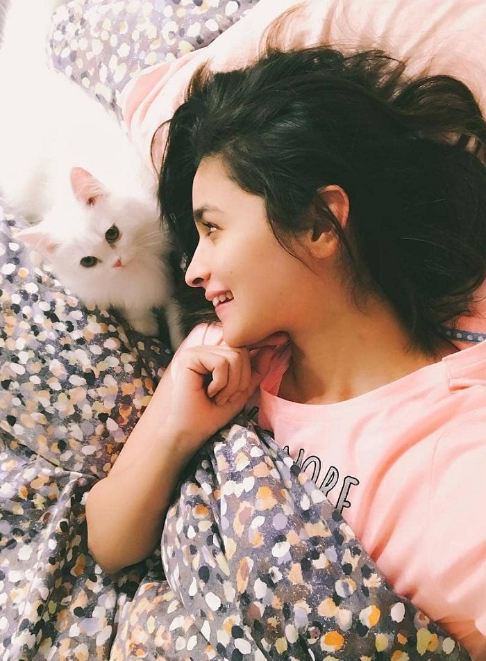 Punjabi Bollywood Tadka,ਆਲੀਆ ਭੱਟ ਇਮੇਜ਼ ਐਚਡੀ ਫੋਟੋ ਡਾਊਨਲੋਡ,alia bhatt image hd photo download