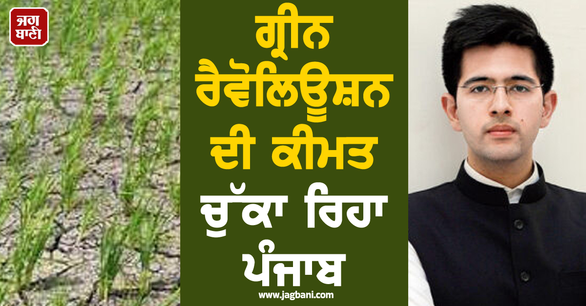 ਪੰਜਾਬ 'ਚ ਚੱਲਦੀ ਹੈ 'ਕੈਂਸਰ ਟਰੇਨ', ਗ੍ਰੀਨ ਰੈਵੋਲਿਊਸ਼ਨ ਦੀ ਕੀਮਤ ਚੁੱਕਾ ਰਿਹਾ ਪੰਜਾਬ, ਰਾਜ ਸਭਾ 'ਚ ਬੋਲੇ 'ਆਪ' ਦੇ ਰਾ