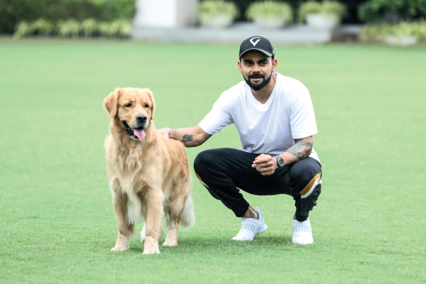 virat kohli was elected peta india  s   person of the year  