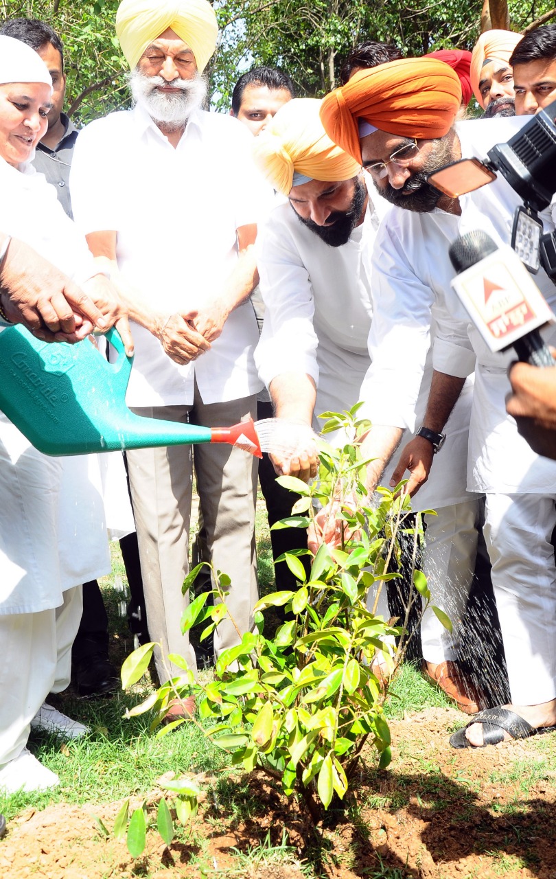 PunjabKesari