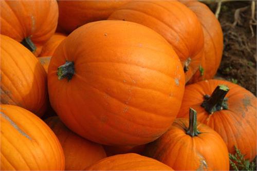 learn the benefits of eating pumpkin