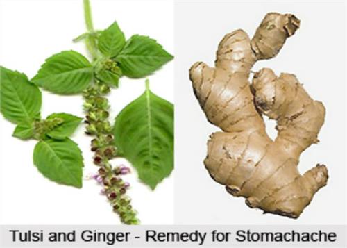 treat asthma and cold with tulsi black pepper and ginger