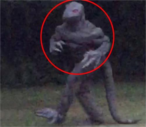 showing 7 feet tall mysterious creatures in the us photo viral