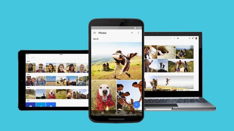 photos app now also shows albums in search results