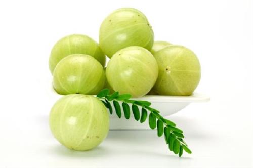 will use amla relief diseases