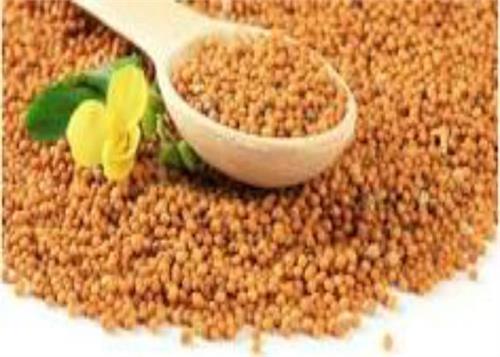 mustard is also very useful thing to know