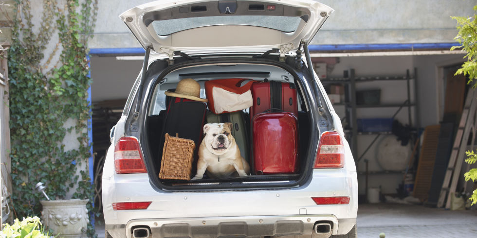 these gadgets must have in your car during traveling