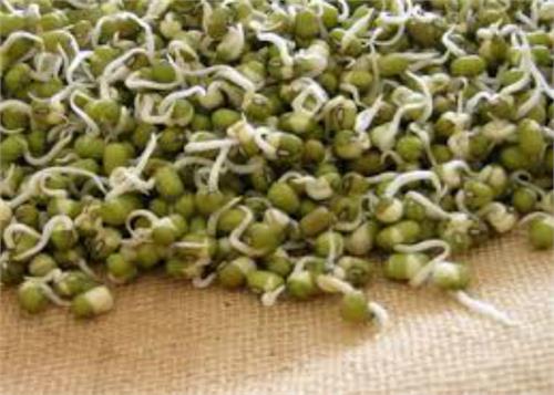 you will eat carrot stew green sprouts benefits