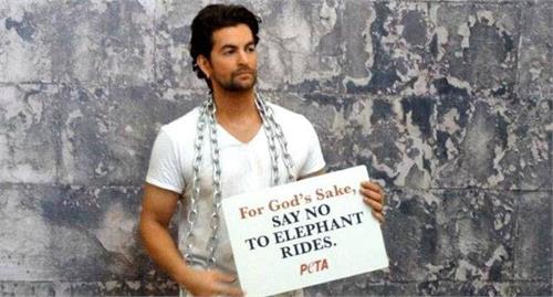 neil nitin mukesh appeal to people for not ride on elephant