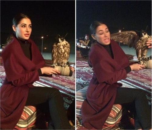 nargis fakhri came back from dubai