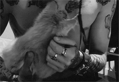 gigi hadid shared zyane shirtless photo