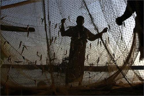 andhra pradesh government gujarat 6000 fishermen