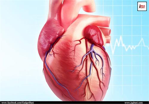 this technique can predict the size of heart s valve