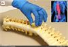 ਰੀੜ੍ਹ ਦੀ ਹੱਡੀ ਨੂੰ ਕਰੇਗੀ ਰਿਪੇਅਰ Polymer Sponge