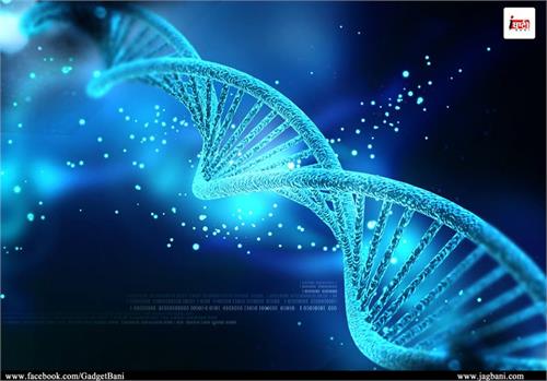 dna molecule is the future of nano scale computing