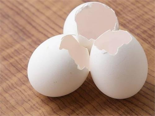 beautifully hidden in shell eggs