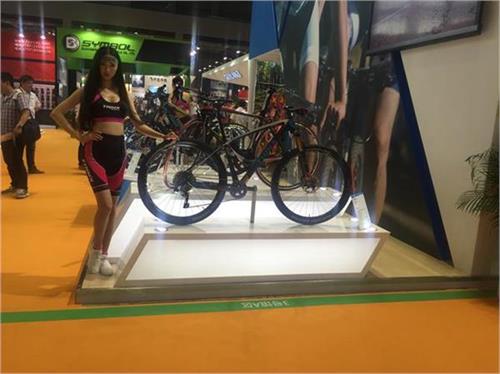 china bicycle expo electronic bicycle shanghai