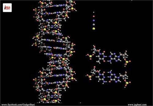 scientist unlock the mystery of x file d n a