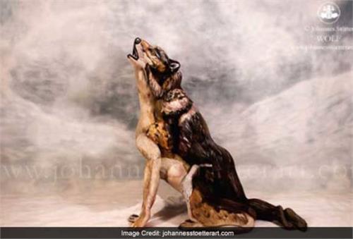 three girls in the picture you are coming