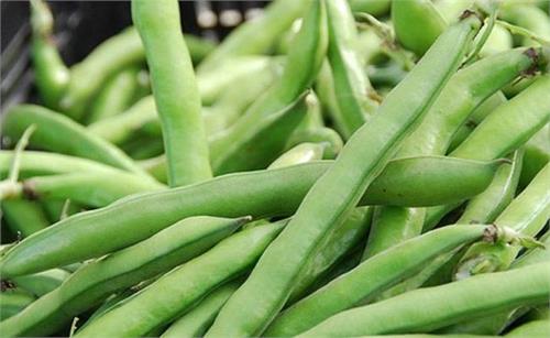 the benefits of eating beans the beans