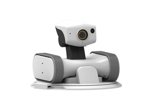 this robot can protect like a watchman
