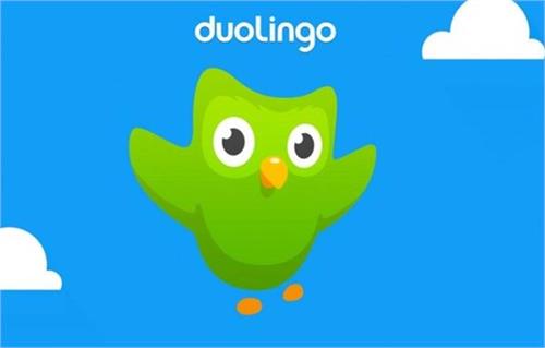 learn multiple languages with duolingo application
