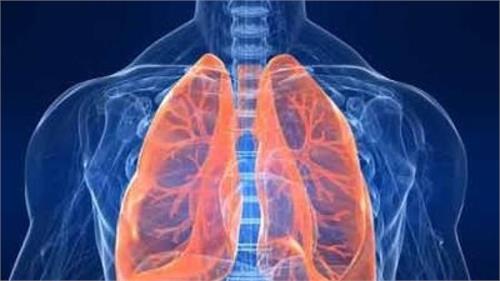 3d lung in a dish grown in lab