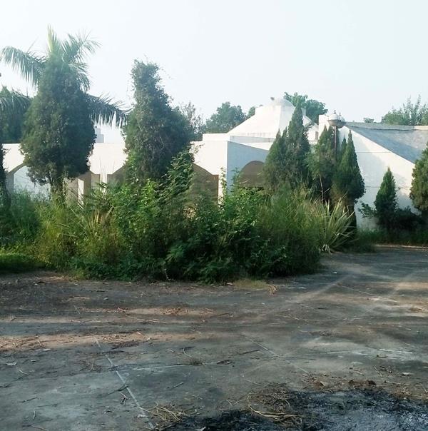 capt amarinder singh