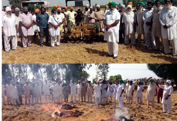 dhilwan khurd and jaggaliya farmers of parli sticks to fire