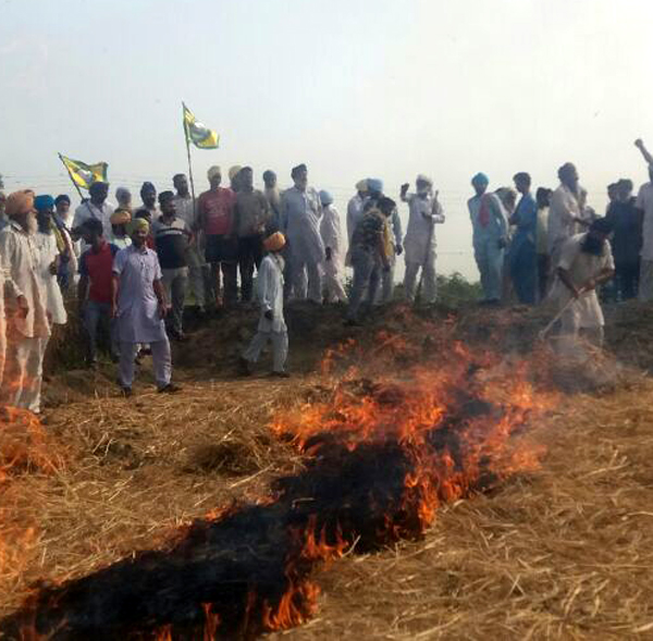 ਟੀਮਾਂ ਦਾ ਫੋਕਸ ਪਰਾਲੀ ਸਾੜਨ ਵਾਲਿਆਂ ਦੀ ਬਜਾਏ, ਨਾ ਸਾੜਨ ਵਾਲਿਆਂ ''ਤੇ