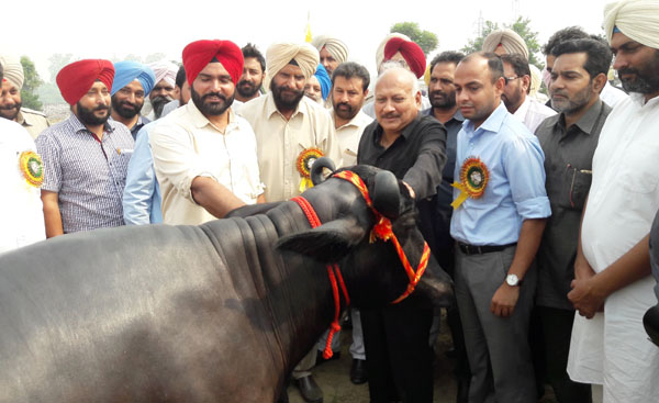 ਪਸ਼ੂਆਂ ਦੀ ਨਸਲ ਸੁਧਾਰਨ ਲਈ ਬ੍ਰਾਜ਼ੀਲ ਤੋਂ ਸੀਮਨ ਮੰਗਵਾਇਆ