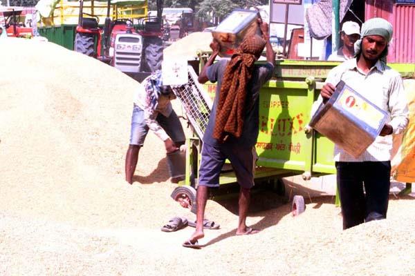 rice miller giving more than government price