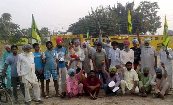 the farmers in the grain market allotment is wrong