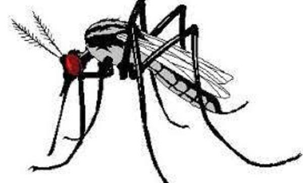 death during treatment of dengue positive woman