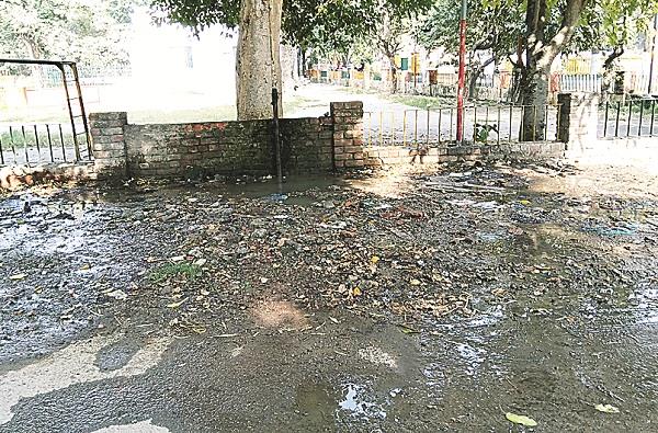 the need for shifting water pointing water in shalimar bagh