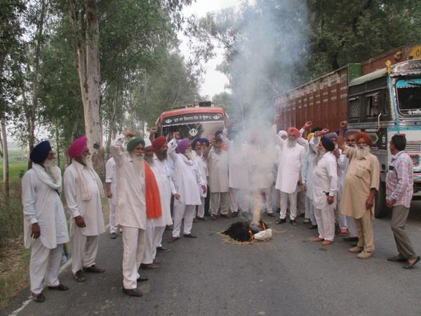 farmer  s organization blasted puppets