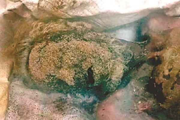 milk found near near jainpur