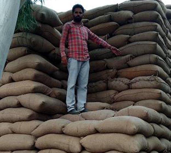 60 grams of paddy stolen from the sheller