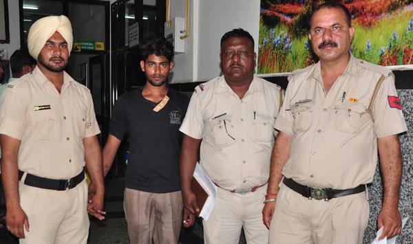 7 year old girl arrested for rape