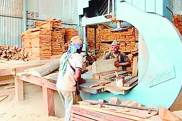 ਹੁਣ ਸੀ. ਪੀ. ਸੀ. ਸੀ. ਦੇਵੇਗੀ ਆਰਾ ਮਿੱਲਾਂ ਨੂੰ ਲਾਇਸੰਸ
